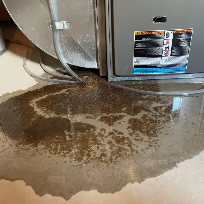 Pipe Burst and Leak Restoration in Bradley Gardens, NJ