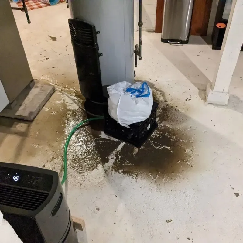 Sewage Backup Cleanup Service in Bradley Gardens, NJ